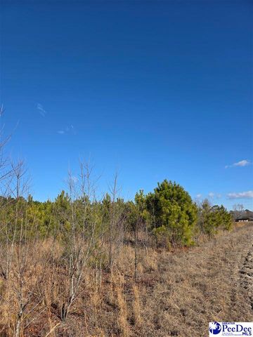 5140 Sardis Hwy, Timmonsville, SC 29161