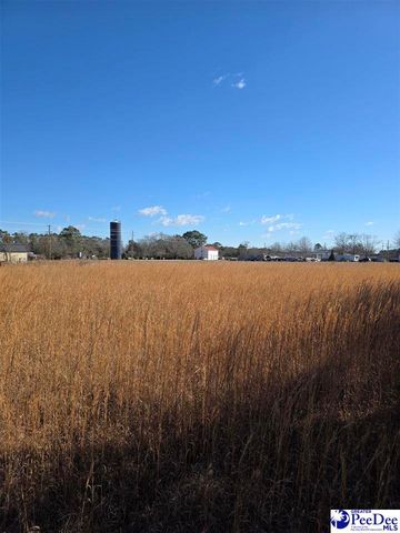 5140 Sardis Hwy, Timmonsville, SC 29161