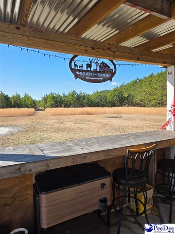 5140 Sardis Hwy, Timmonsville, SC 29161