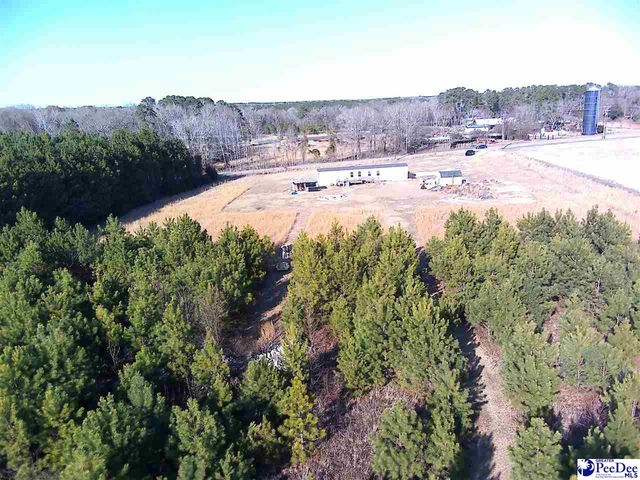 5140 Sardis Hwy, Timmonsville, SC 29161