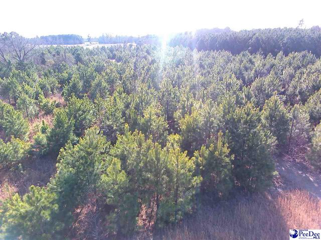 5140 Sardis Hwy, Timmonsville, SC 29161