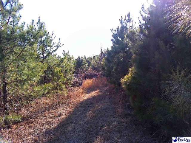 5140 Sardis Hwy, Timmonsville, SC 29161