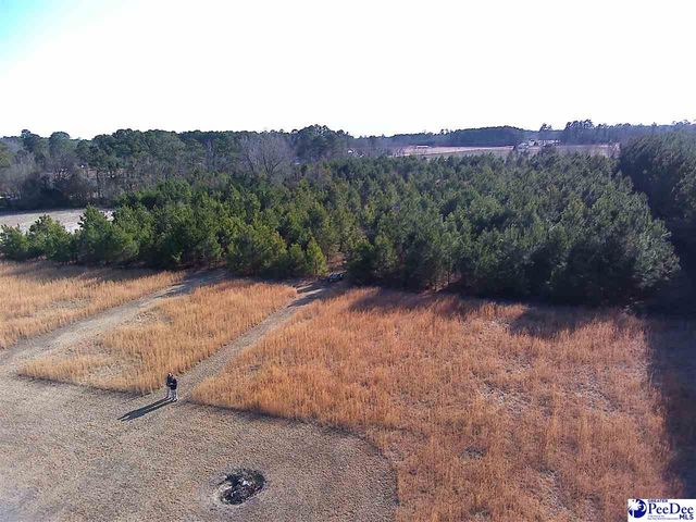 5140 Sardis Hwy, Timmonsville, SC 29161