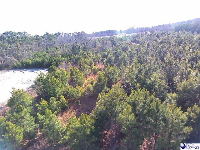 5140 Sardis Hwy, Timmonsville, SC 29161