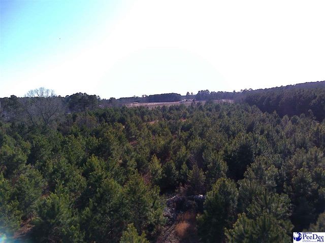 5140 Sardis Hwy, Timmonsville, SC 29161