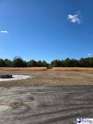 5140 Sardis Hwy, Timmonsville, SC 29161