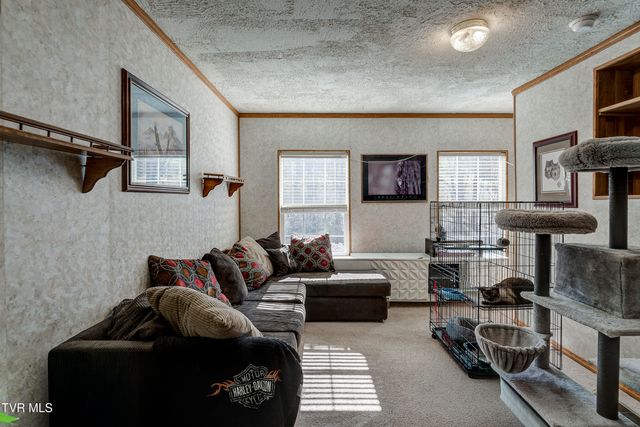 126 Elizabeth Ann Drive, Johnson City, TN 37601