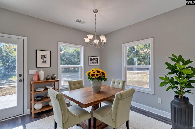 116 Black Dog Drive, Gaston, SC 29053