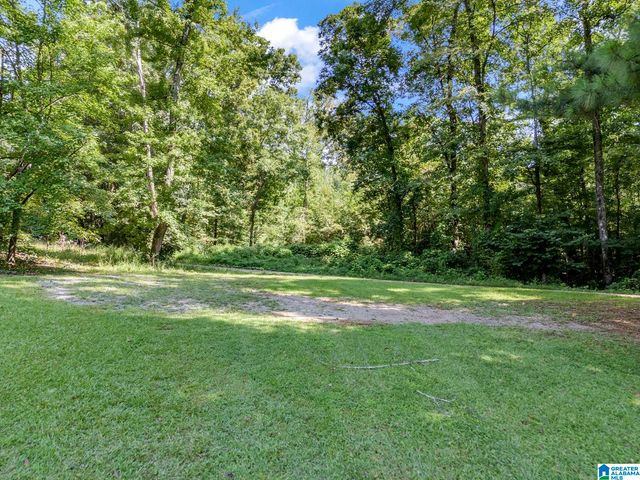 9721 US HIGHWAY 11, Springville, AL 35146