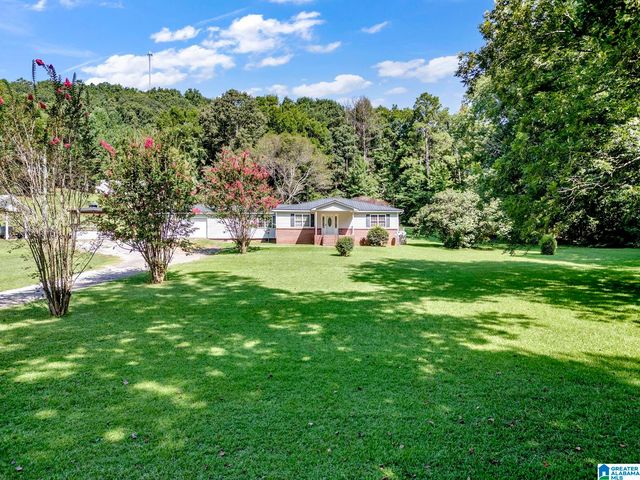 9721 US HIGHWAY 11, Springville, AL 35146