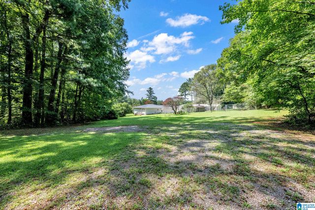 9721 US HIGHWAY 11, Springville, AL 35146