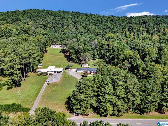 9721 US HIGHWAY 11, Springville, AL 35146