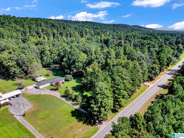 9721 US HIGHWAY 11, Springville, AL 35146