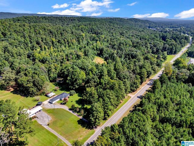 9721 US HIGHWAY 11, Springville, AL 35146