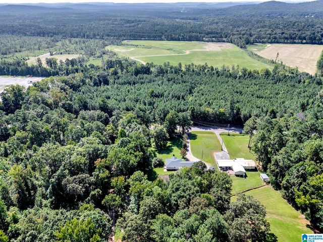 9721 US HIGHWAY 11, Springville, AL 35146