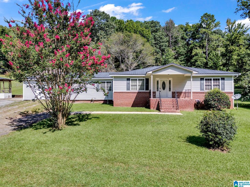 9721 US HIGHWAY 11, Springville, AL 35146