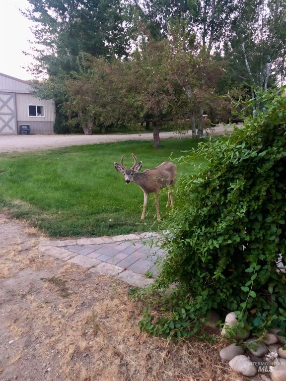 6856 Highway 55, Horseshoe Bend, ID 83629 photo 48