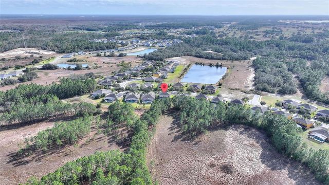 256 YELLOW SNAPDRAGON DRIVE, Davenport, FL 33837