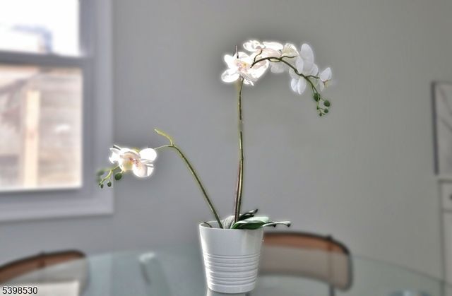 39 Grant Place, Irvington Twp., NJ 07111