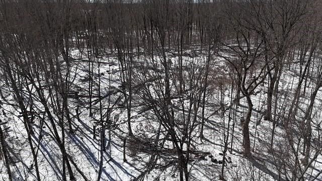 Lots 54 & 55 Wolf Island Road, Hayward, WI 54843