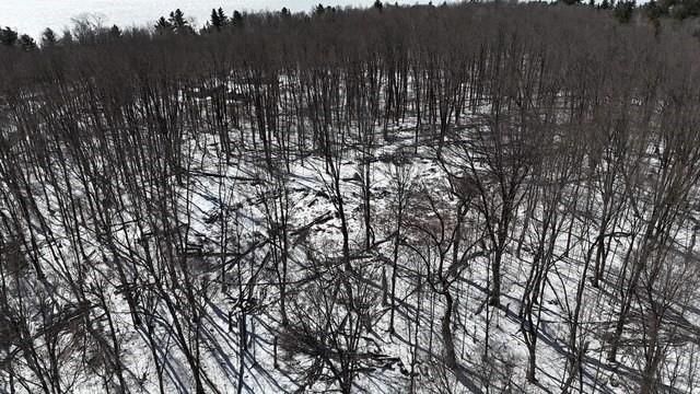 Lots 54 & 55 Wolf Island Road, Hayward, WI 54843