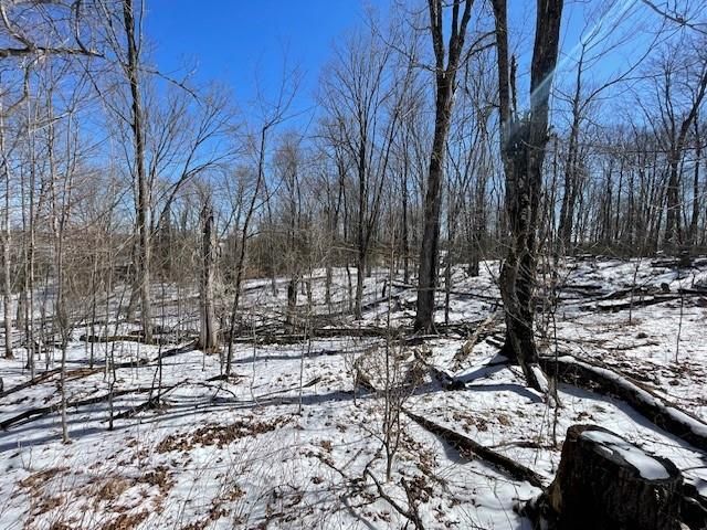 Lots 54 & 55 Wolf Island Road, Hayward, WI 54843