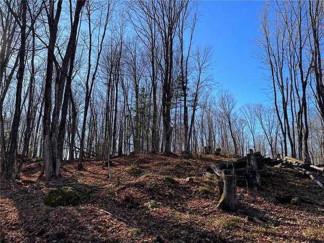 Lots 54 & 55 Wolf Island Road, Hayward, WI 54843