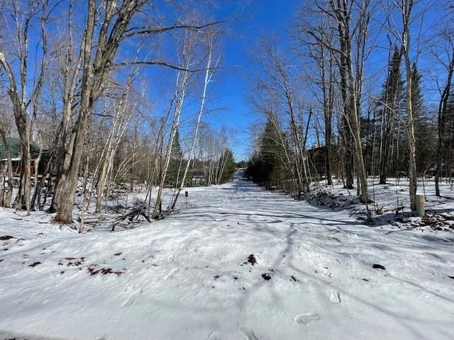 Lots 54 & 55 Wolf Island Road, Hayward, WI 54843