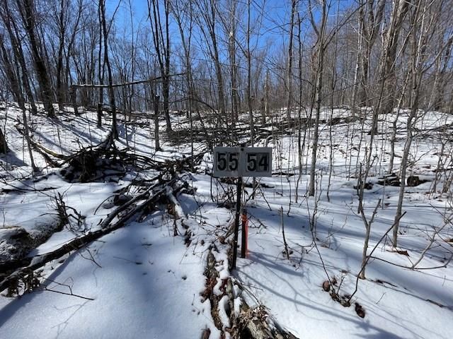 Lots 54 & 55 Wolf Island Road, Hayward, WI 54843