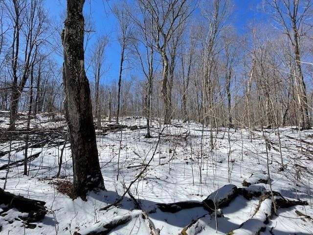 Lots 54 & 55 Wolf Island Road, Hayward, WI 54843