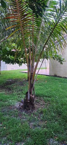 4221 SW 153rd Avenue, Miramar, FL 33027