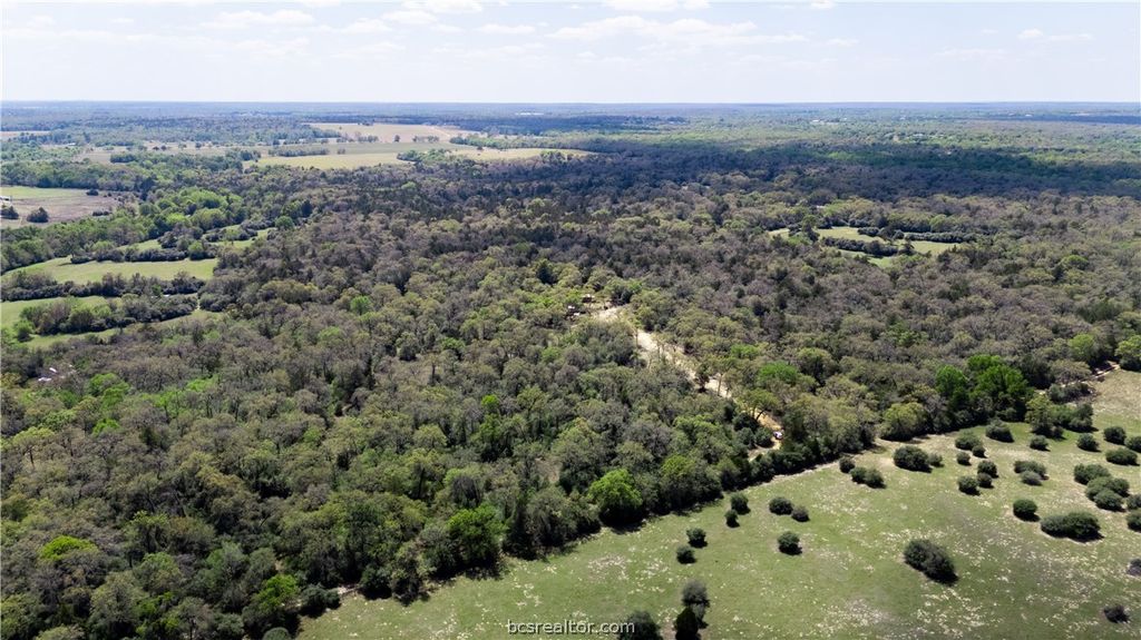 3950 Private Road 2015, Caldwell, TX 77836 — photo 3
