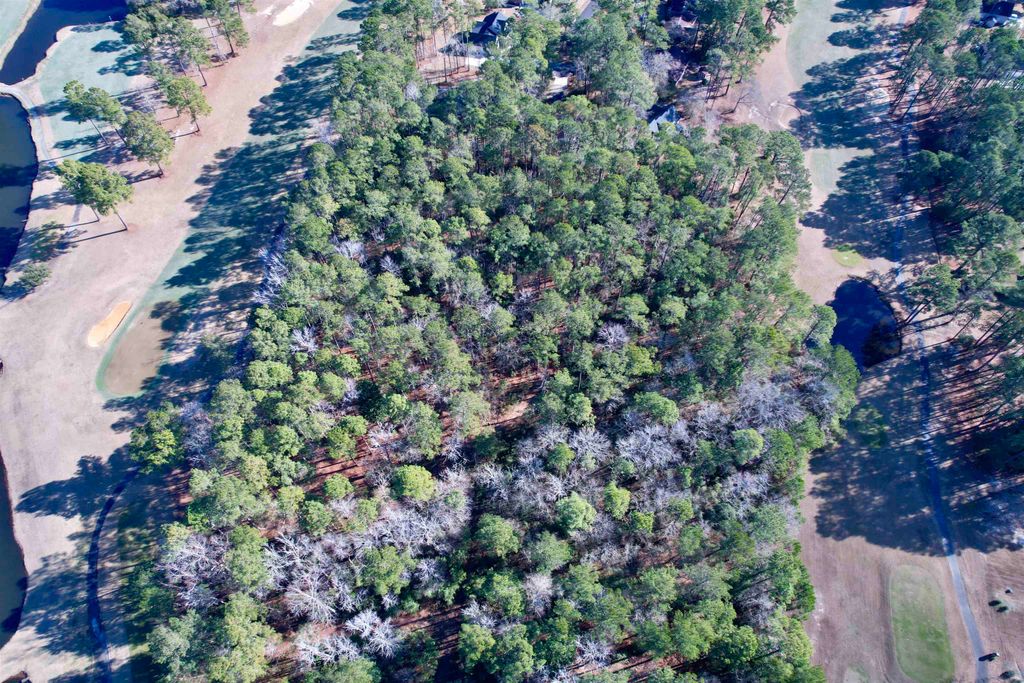 22 Lots - Goelet Ct., Georgetown, SC 29440 — photo 3