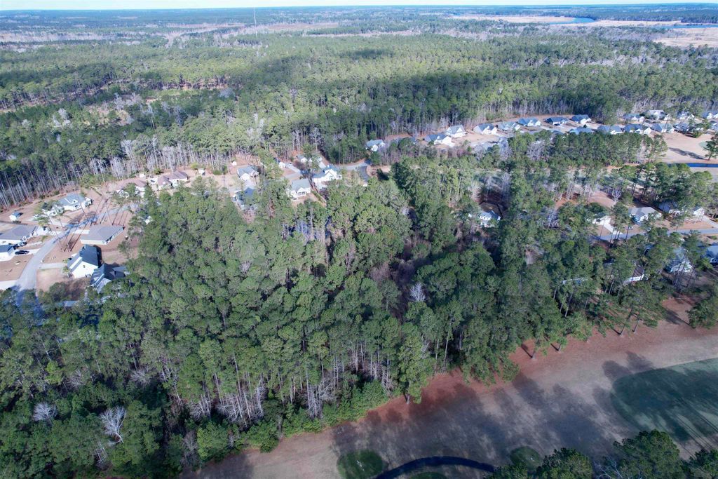 22 Lots - Goelet Ct., Georgetown, SC 29440 — photo 5