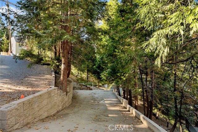 196 Ponderosa Dr, Cedar Glen, CA 92321
