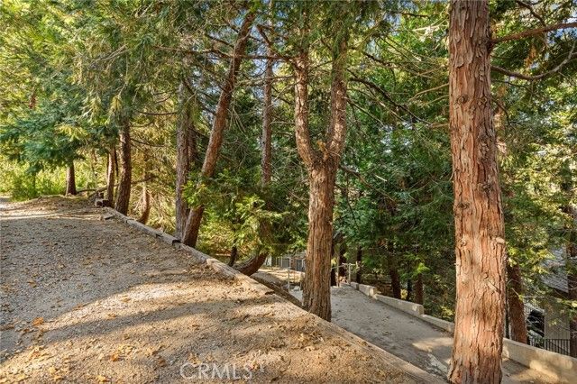 196 Ponderosa Dr, Cedar Glen, CA 92321