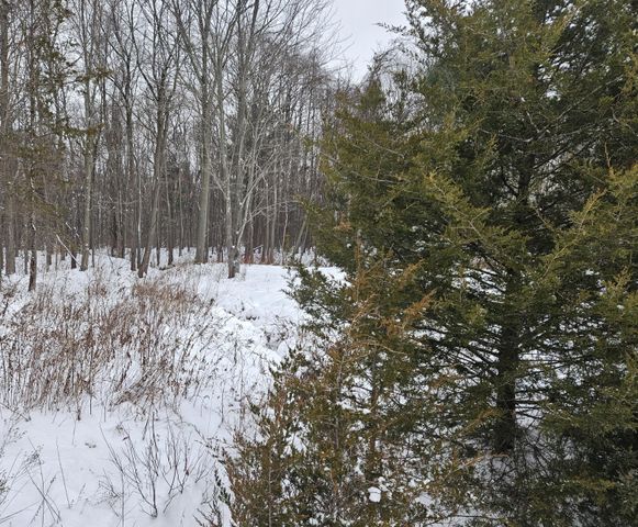 14th Avenue Parcel D, South Haven, MI 49090