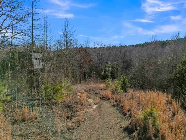 18351 CR 3132, Gladewater, TX 75647