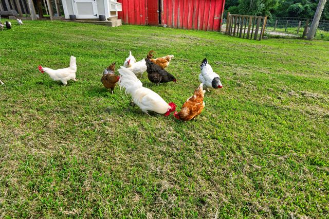 1278 Spencer Mill Rd, Burns, TN 37029