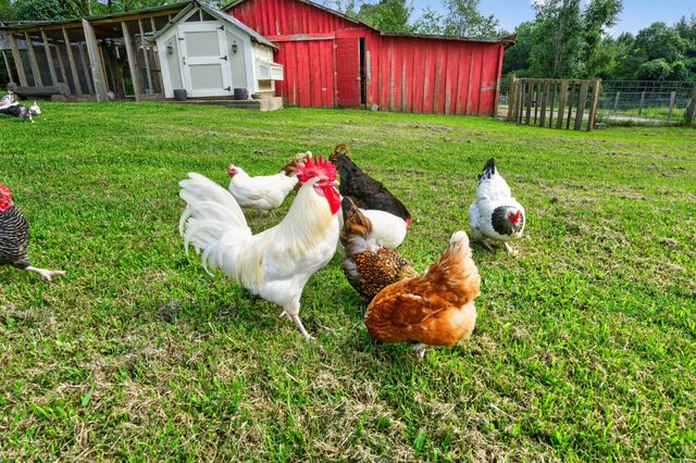 1278 Spencer Mill Rd, Burns, TN 37029