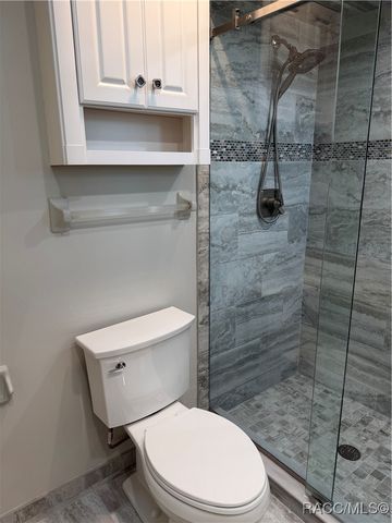 2065 W Deer Trail Lane, Lecanto, FL 34461