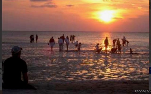 2065 W Deer Trail Lane, Lecanto, FL 34461