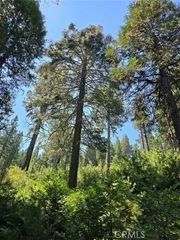 0 Lovers Lane, Cedarpines Park, CA 92322