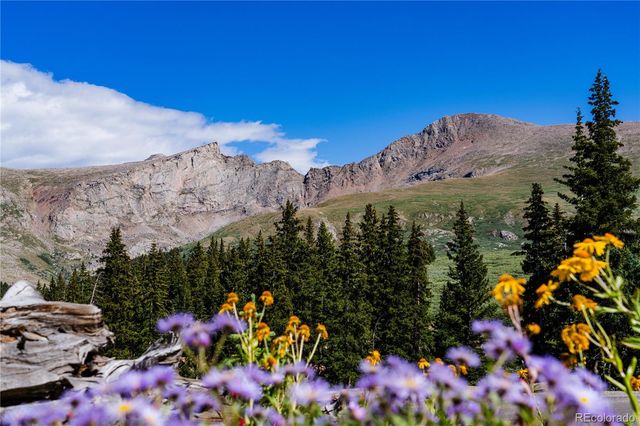 2115 Hummingbird Way 103, Georgetown, CO 80444