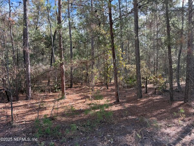 126 E LURA Lane, Florahome, FL 32140