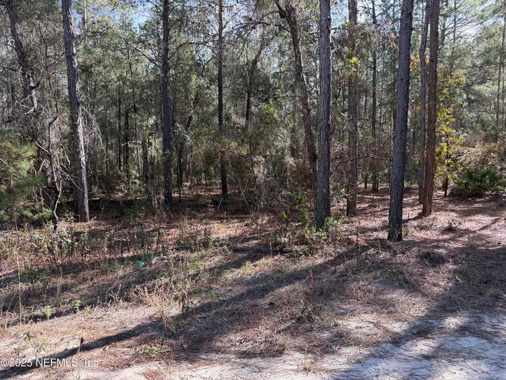 126 E LURA Lane, Florahome, FL 32140