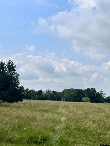 200 VZ CR 2422, Mabank, TX 75147