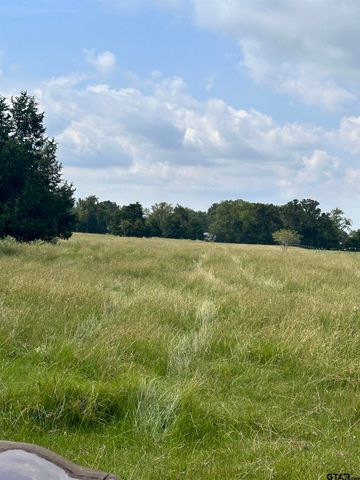 200 VZ CR 2422, Mabank, TX 75147