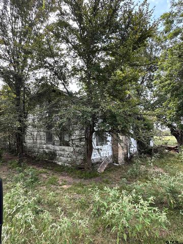 200 VZ CR 2422, Mabank, TX 75147