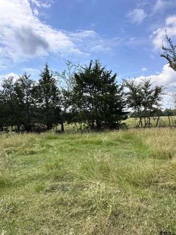 200 VZ CR 2422, Mabank, TX 75147
